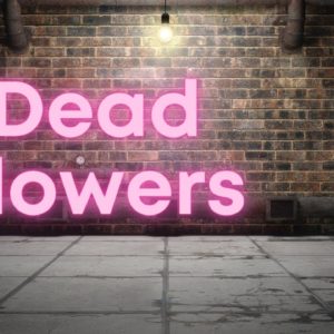 How to write a scene: annotated reading from Dead Flowers